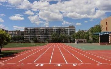 学校新教师培训心得8篇