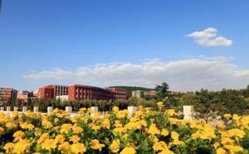 在学校的个人总结500字6篇