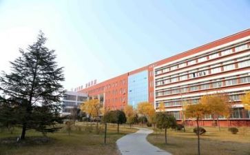 学校新教师培训心得体会范文8篇