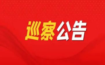 县巡察工作总结最新8篇