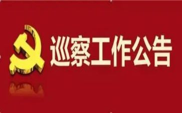 巡察组工作汇报材料8篇