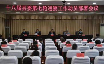 巡察办2024年工作总结通用5篇