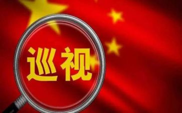 被巡视工作报告6篇