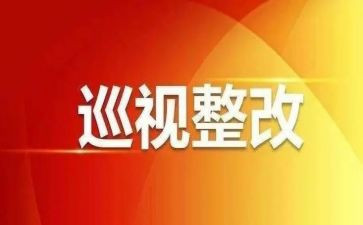 巡视工作总结8篇