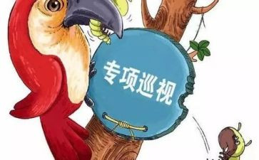 巡视体会心得体会8篇