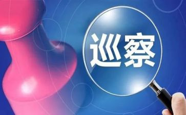 巡视组总结报告7篇