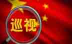 向巡视组报告工作报告5篇