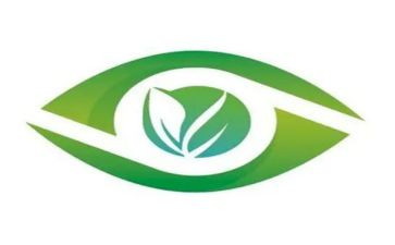 中班健康活动眼睛教案6篇