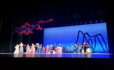 元旦演出活动方案5篇