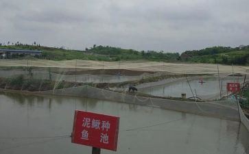 养殖培训总结8篇
