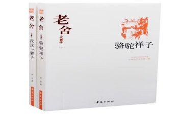 树的样子的读后感5篇
