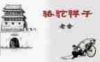 中国的样子作文6篇