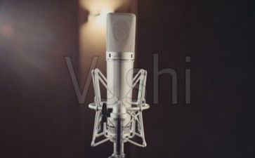 演讲稿范文500字最新5篇
