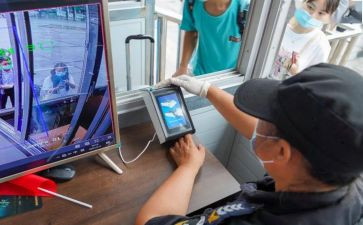 查验员工作总结6篇