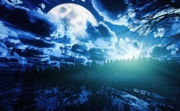 厦门夜景作文8篇