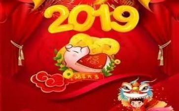 二零一九年村工作计划5篇