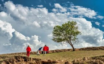 迎难而上作文推荐6篇