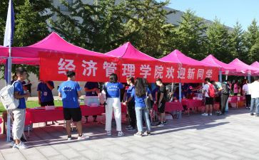 迎新晚会活动方案5篇