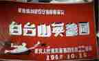 心中的英雄演讲稿8篇