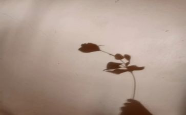 影子犬读后感参考7篇