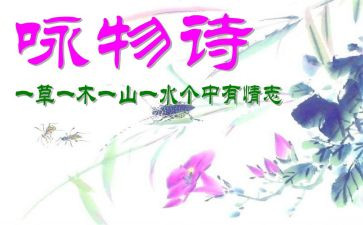 咏物作文600字5篇