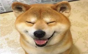 初中有趣的事作文600字5篇