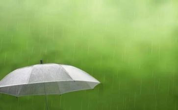 下雨的作文400字最新7篇