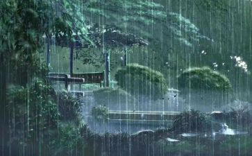 下雨的树作文精选6篇