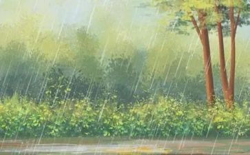描写雨的作文200字5篇
