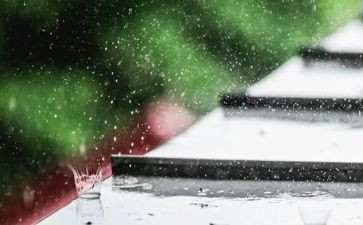 观潮下雨作文300字8篇