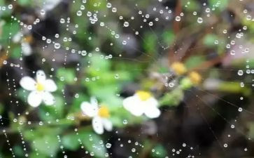 下雨在军训心得体会6篇
