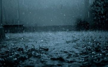 雷雨颂读后感优秀6篇