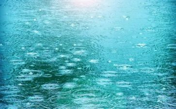 雨中作文500字作文8篇