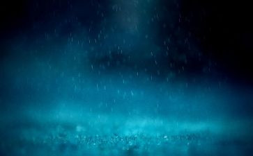 描写雨的作文800字模板8篇