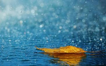 散文雨读后感参考8篇