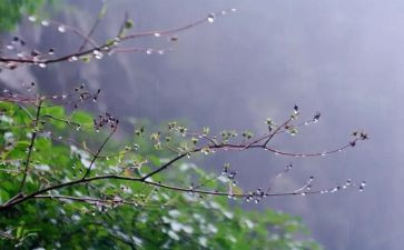 以雨为题的作文通用7篇