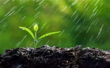 雨来读后感500字6篇