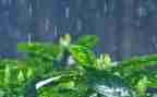 中班语言雨教案反思7篇
