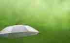 下雨的作文400字最新7篇
