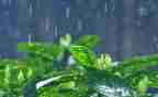 小雨和花中班音乐教案6篇