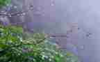 雨来的读后感200字推荐6篇