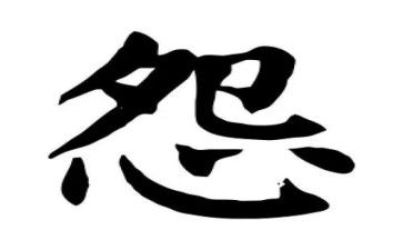 爱抱怨的脚的读后感5篇