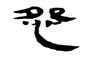 爱抱怨的脚的读后感通用7篇