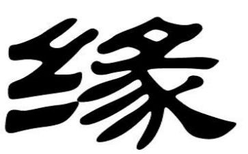 丰子恺的缘的读后感5篇