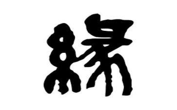 生命缘读后感600字5篇