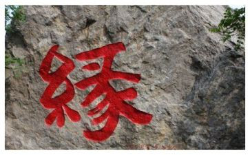 生命缘观后感800字5篇