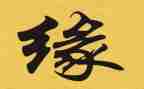 生命缘观后感400字6篇