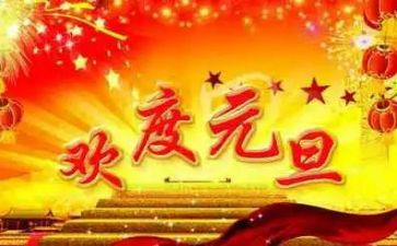 中班元旦节活动方案8篇