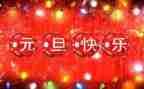 庆元旦活动活动总结参考6篇