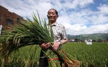 读袁隆平传读后感7篇